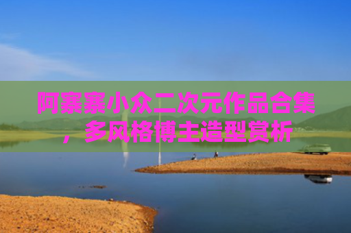 阿寨寨小众二次元作品合集，多风格博主造型赏析