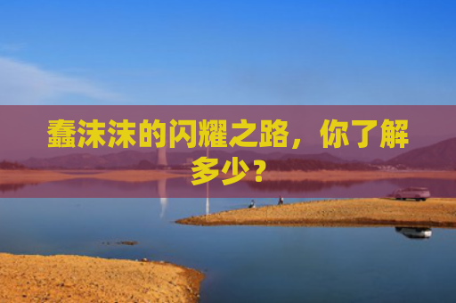 蠢沫沫的闪耀之路，你了解多少？