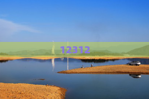 12312