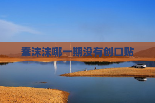 蠢沫沫哪一期没有创口贴