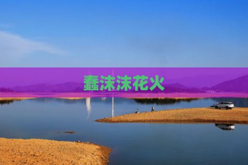 蠢沫沫花火