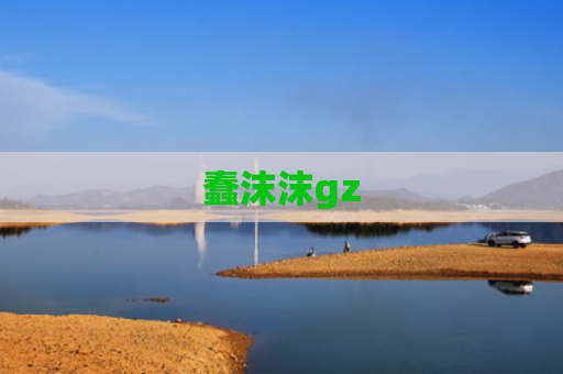 蠢沫沫gz