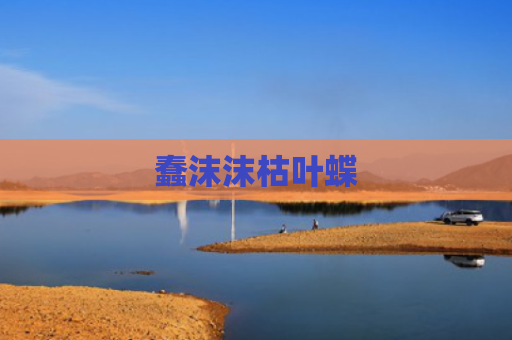 蠢沫沫枯叶蝶