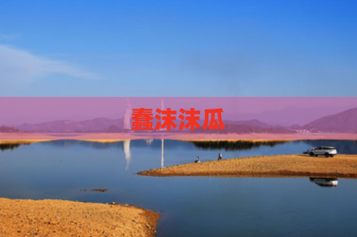 蠢沫沫瓜
