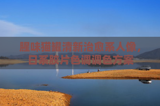 腥味猫罐清新治愈系人像，日系胶片色调调色方案