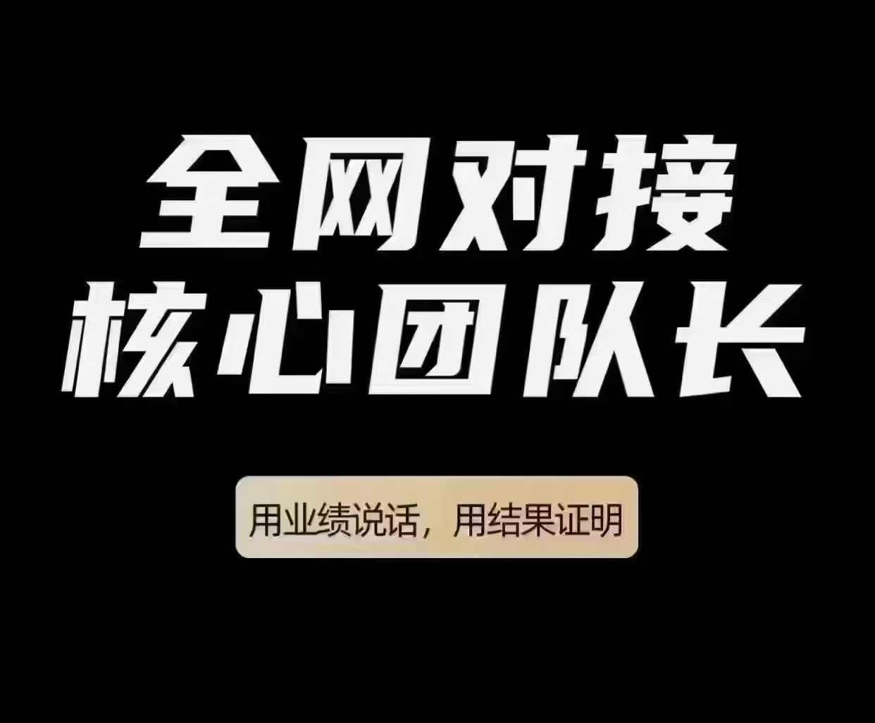 【九天科技】电商百亿补贴套利项目己正式上线! 随进随出！首码对接实力团队长！
