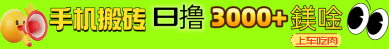 首码项目